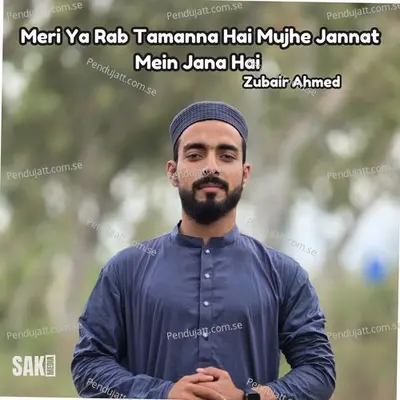 Meri Ya Rab Tamanna Hai Mujhe Jannat Mein Jana Hai - Zubair Ahmed album cover 