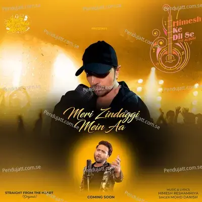 Meri Zindaggi Mein Aa - Mohd Danish album cover 