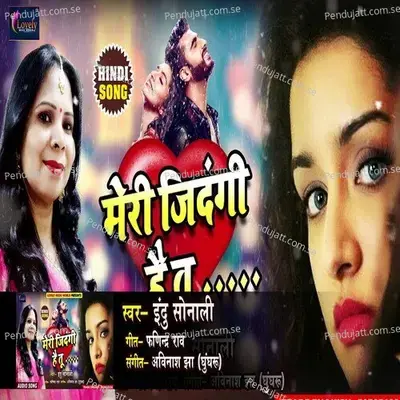 Meri Zindagi Hai Tu - Indu Sonali album cover 