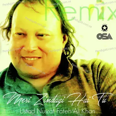 Meri Zindagi Hai Tu - Nusrat Fateh Ali Khan album cover 