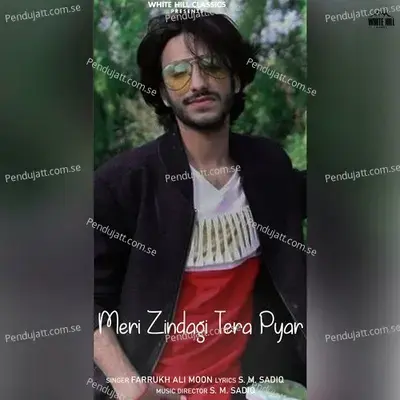 Meri Zindagi Tera Pyar - Farrukh Ali Moon album cover 