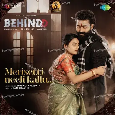 Merisetti Neeli Kallu - Imran Shastri album cover 