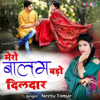 Mero Balam Bado Dildaar - Neetu Tomar album cover 