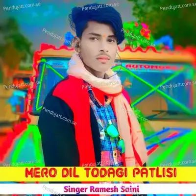 Mero Dil Todagi Patlisi - Ramesh Saini album cover 