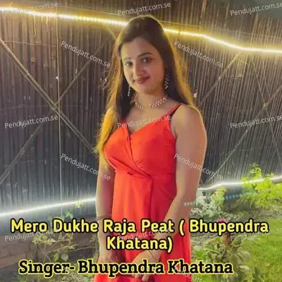 Mero Dukhe Raja Peat - Narayan Gurjar album cover 