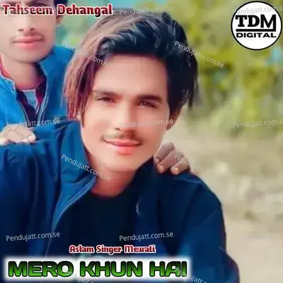 Mero Khun Hai - Tahseem Dehangal album cover 