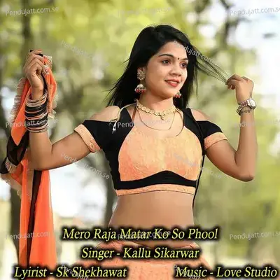 Mero Raja Matar Ko So Phool - Kallu Sikarwar album cover 