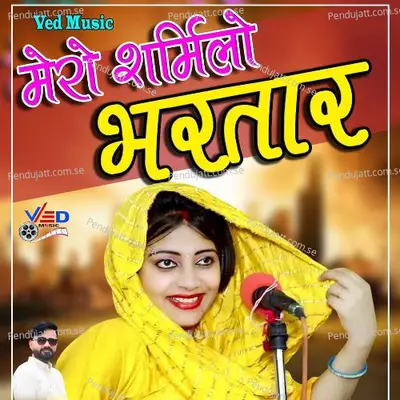 Mero Sharmilo Bharataar - Sandhya Choudhary album cover 