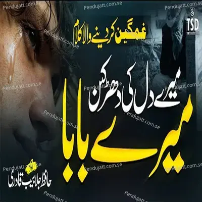 Mery Dil Ki Dharkan Mery Baba - Hafiz Jalabeeb Qadri album cover 