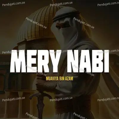 Mery Nabi - Muaviya Bin Azam album cover 