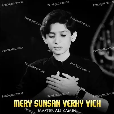 Mery Sunsan Verhy Vich - Master Ali Zamin album cover 