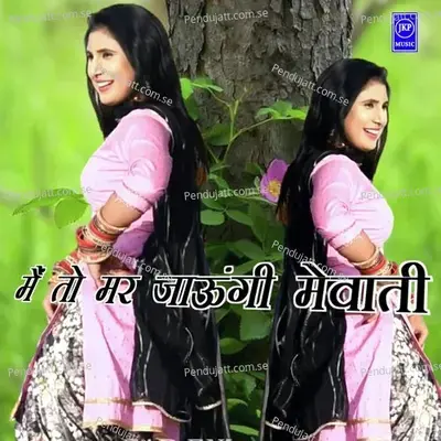 Meto Mar Jaungee Mewati - Aslam Singer Mewati album cover 