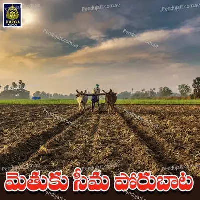 Nenu Pothunna - Garjana album cover 