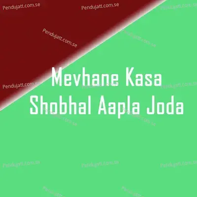 Mevhane Kasa Shobhal Aapla Joda - PARESH PAWAR album cover 