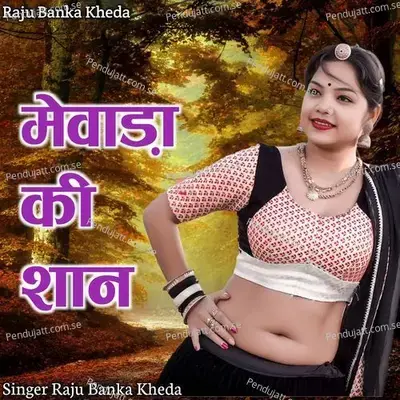 Mewara Ki San - Raju Banka Kheda album cover 