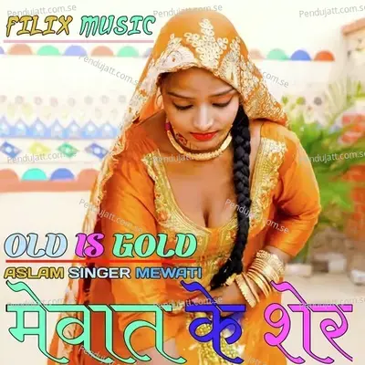 Mewat Ke Sher - Aslam Singer Mewati album cover 