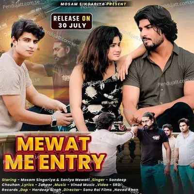 Mewat Me Entry - Aslam Singer Deadwal album cover 