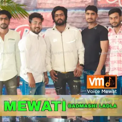 Mewati Badmashi Ladla - Tarik Aziz album cover 