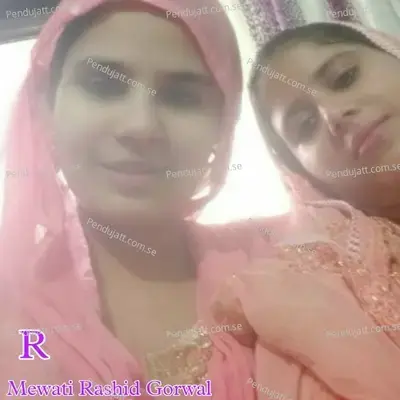 Mewati Rashid Gorwal - Aslam Singer Mewati album cover 