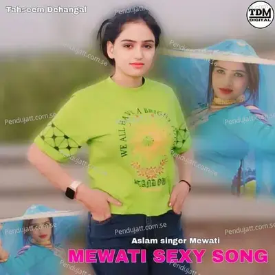 Mewati Sexy Song - Aslam Singer Mewati album cover 