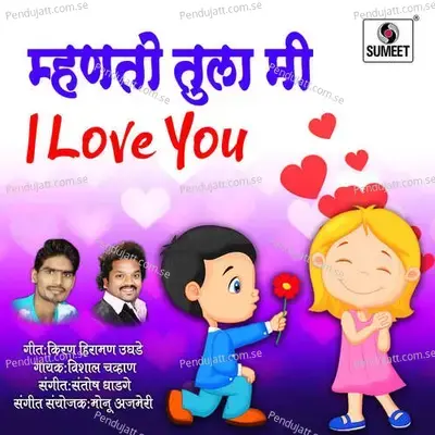 Mhanto Tula Mi I Love You - Vishal Chavan album cover 