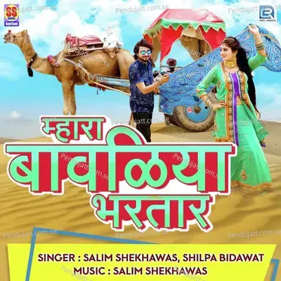 Mhara Bawaliya Bharthar - Salim Shekhawas