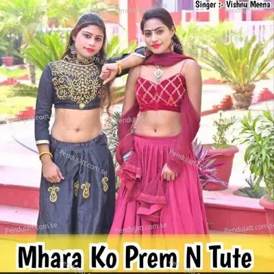 Mhara Ko Prem N Tute - Vishnu Meena album cover 