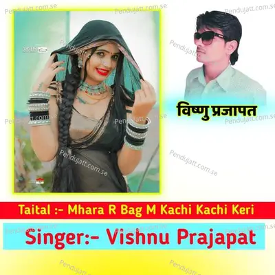 Mhara R Bag M Kachi Kachi Keri - Vishnu Prajapat album cover 