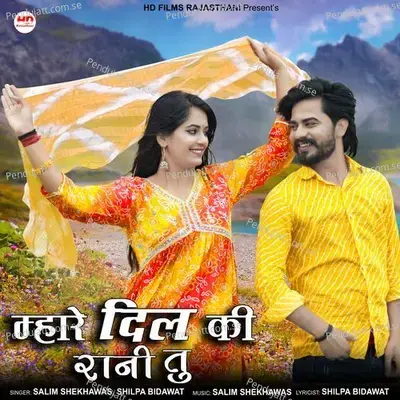 Mhare Dil Ki Rani Tu - Salim Shekhawas album cover 