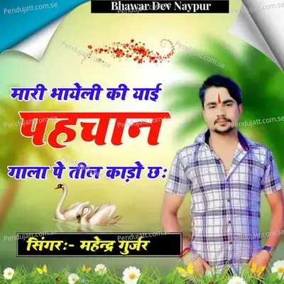 Mhari Bhayeli Ki Yai Pechan Gala Pe Teel Kado Che - Mahendra Gurjar album cover 