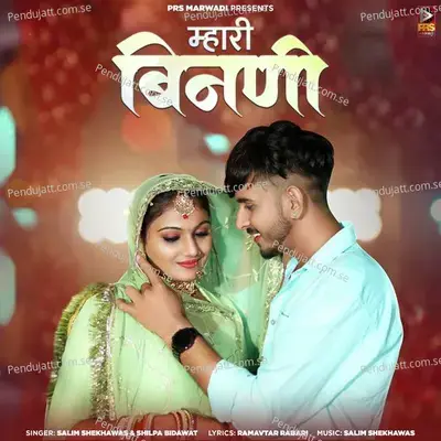 Mhari Binani - Salim Shekhawas