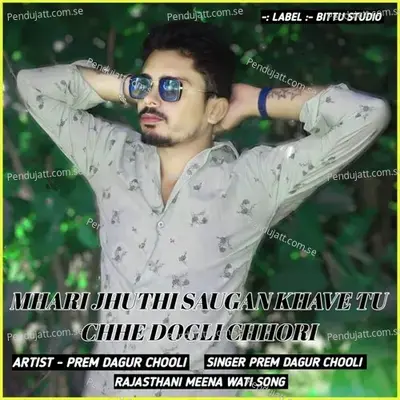 Mhari Jhuthi Saugan Khave Tu Chhe Dogli Chhori - PREM DAGUR CHOOLI album cover 