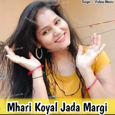 Mhari Koyal Jada Margi - Vishnu Meena album cover 