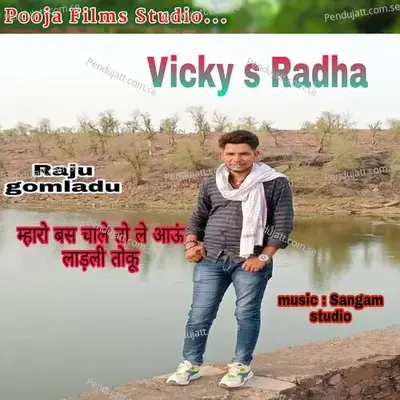 Mharo Bas Chale To Le Aau Ladali Toku - Vicky S Radha album cover 