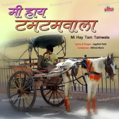 Mi Hai Tamtam Wala - Jagdish Patil album cover 