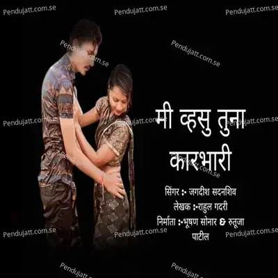 Mi Hosu Tuna Karabhari - Jagdish Sandhanshiv album cover 