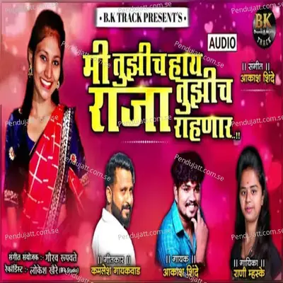 Mi Tujhich Haay Raja Tujhich Rahnar - Akash Shinde album cover 