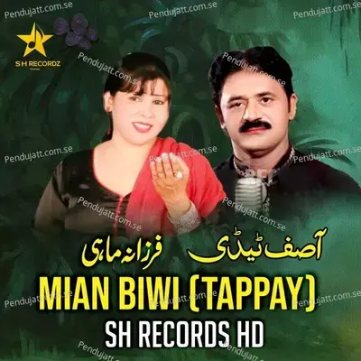 Mian Biwi - Asif Tedy album cover 