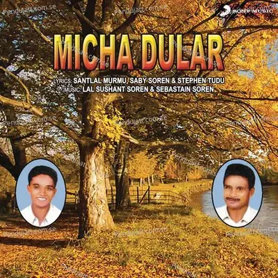 Micha Amak Dular - Stephen Tudu album cover 