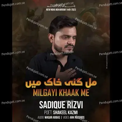 Mil Gai Khaq Me Tasveere Payambar Zainab - Sadique Rizvi album cover 