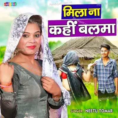 Mila Na Kahi Balma - Neetu Tomar album cover 