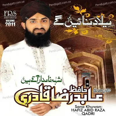 Sabzwari Sabzwari - Hafiz Abid Raza Qadri album cover 