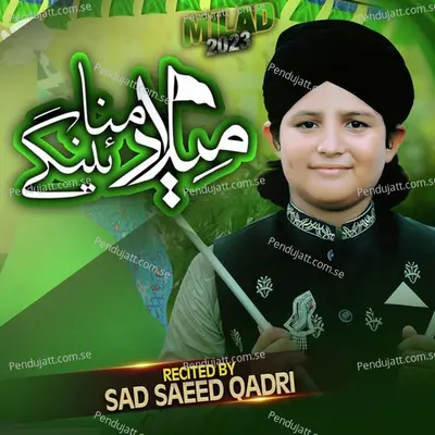 Milad Manay Gay - SAD SAEED QADRI album cover 