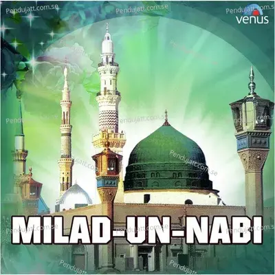 Nabi Se Mera Salaam Kehna - Altaf Raja album cover 