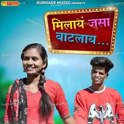 Milay Jasa Vatlay - Sagar Kurhade album cover 