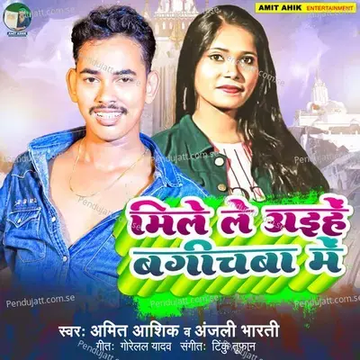 Mile Le Aihe Bagichwa Me - Amit Ashik album cover 