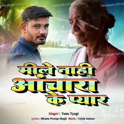 Mile Nahi Anchara Ke Pyar - TUNU TYAGI album cover 