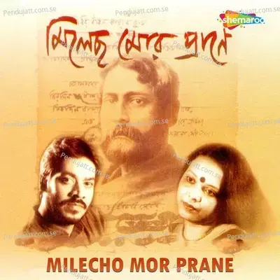 Amay Bolo Na Gahite - Srikanto Acharya album cover 