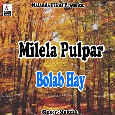 Milela Pulpar Bolab Hay Na - Mukesh album cover 