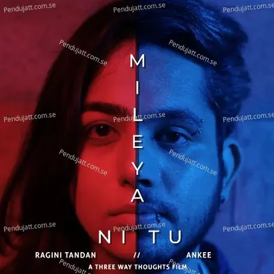 Mileya Ni Tu - Ragini Tandan album cover 